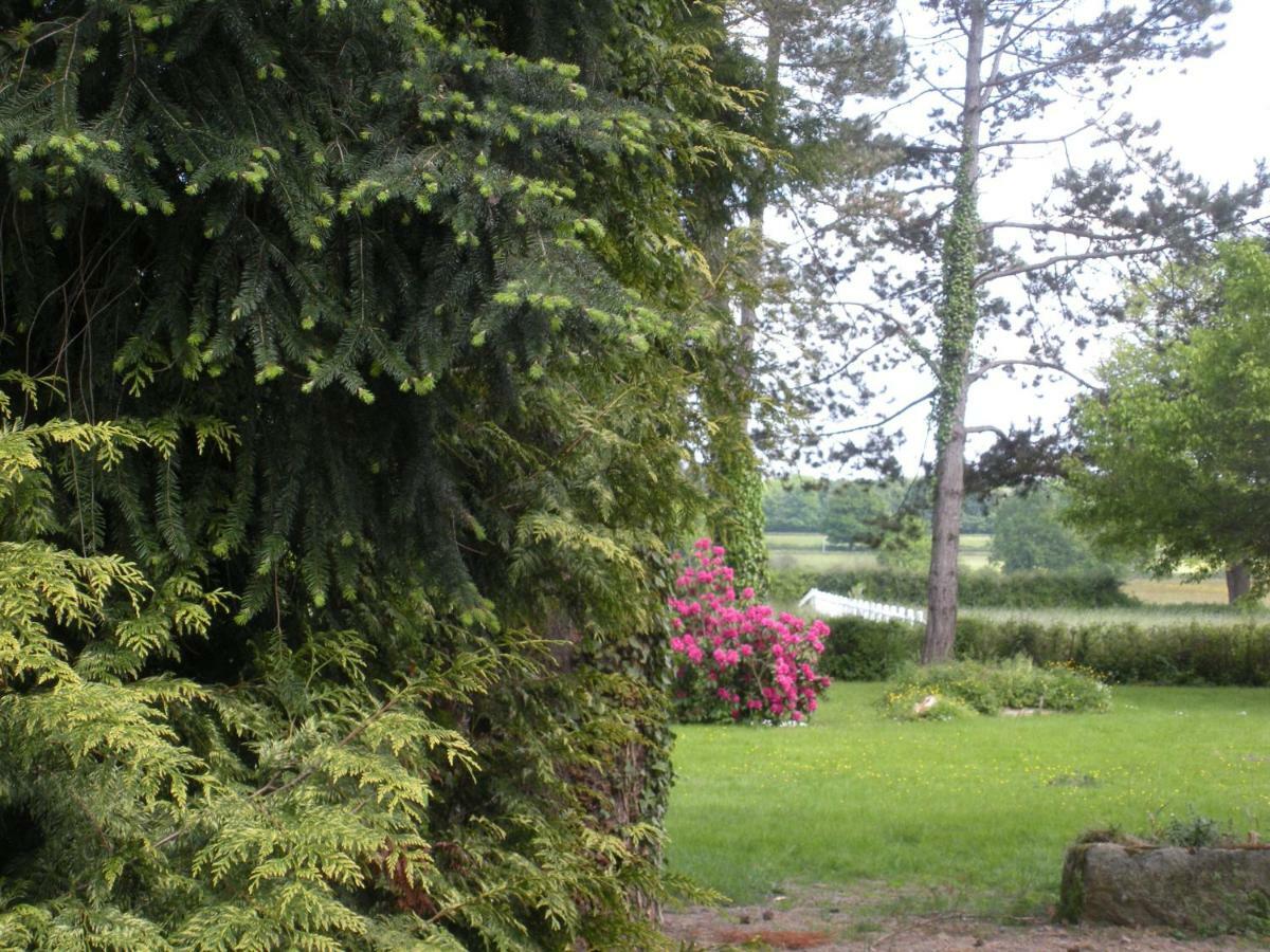 Le Domaine Du Mijarnier Bed & Breakfast Montbeugny Exterior photo